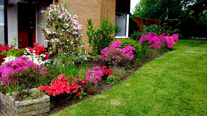 herbaceous perennials planter border full of colour attracting pollinators 