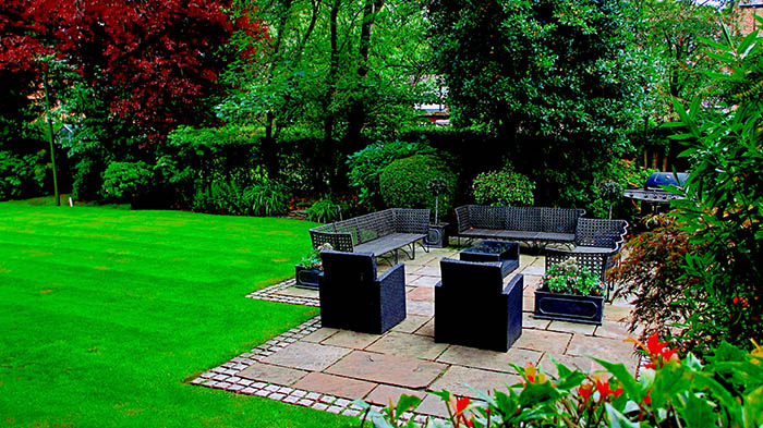 summer patio garden with lawn and tall trees
