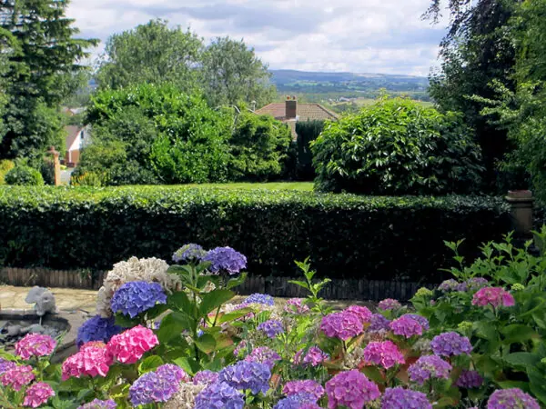 regular maintained summer garden