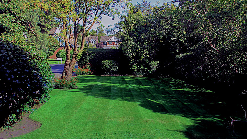 lawn mowing in standish