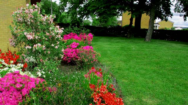 garden maintenance in hindley green