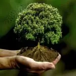 Gardeners in Wigan and surrounding areas logo