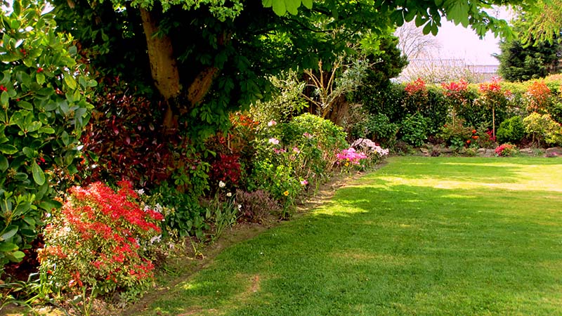 Wigan Gardener maintenance summer garden tidying with mix of colourful flowers and evergreen shrubs